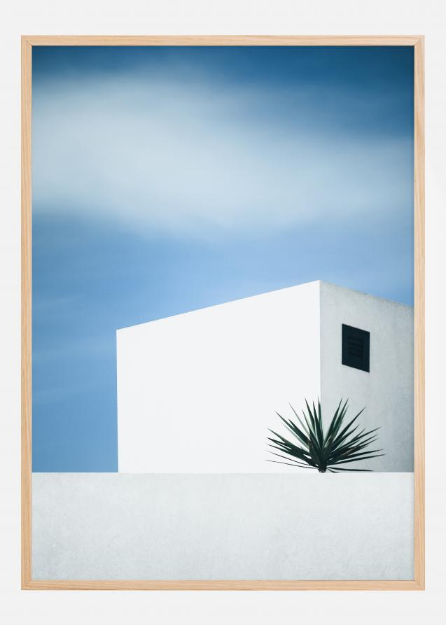 Palm tree Poster