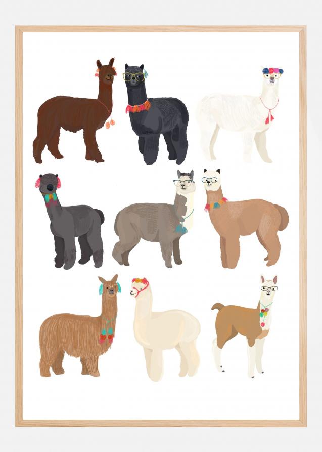 Standing Lamas In Glasses Poster