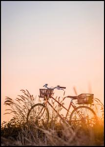 Bike Ride In The Sunset Poster
