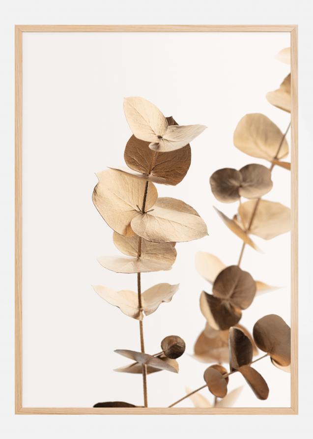Eucalyptus Gold I Poster