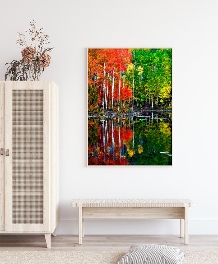 Colourful Trees By The Lake Poster