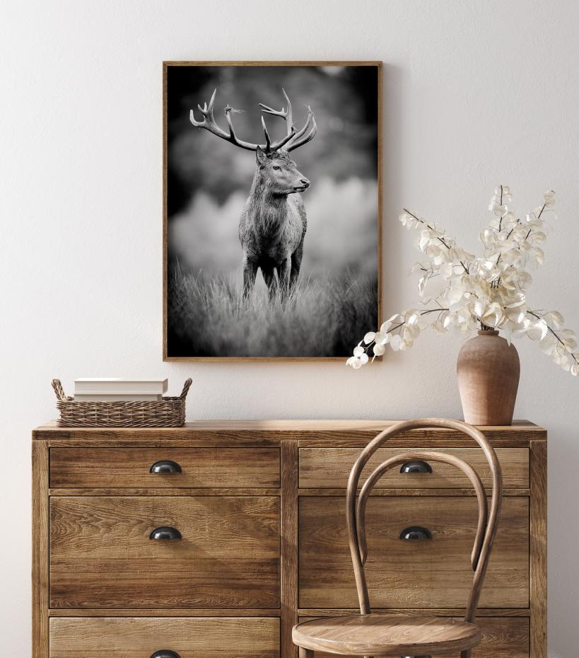 Deer With Horns Poster