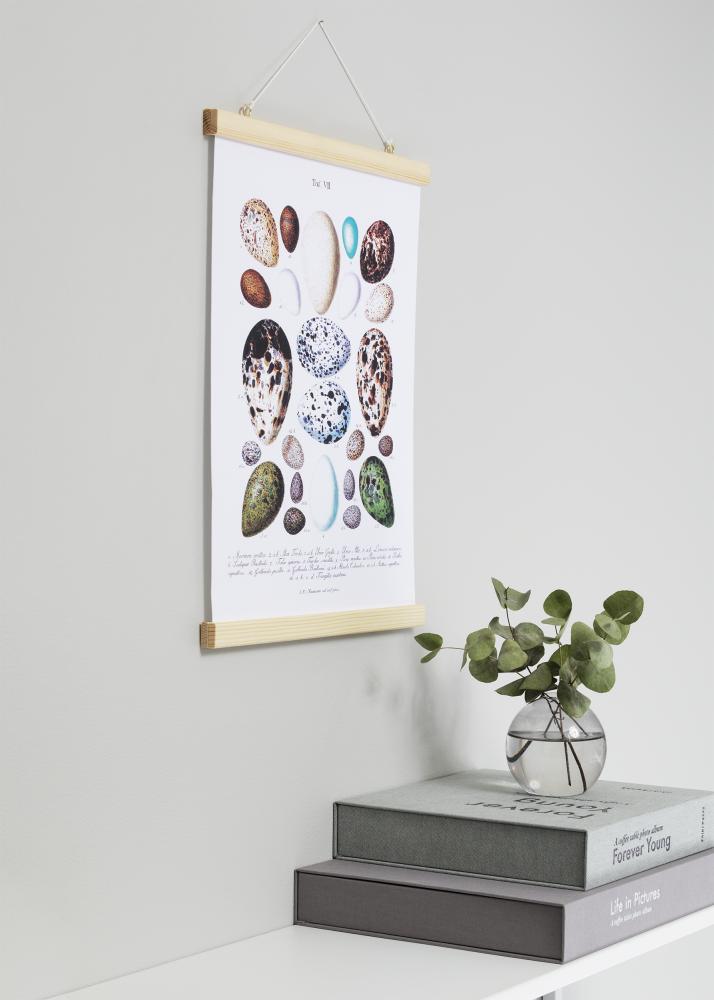 Support pour poster Nature - 30 cm