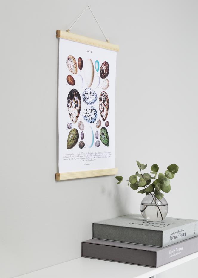 Support pour poster Nature - 40 cm