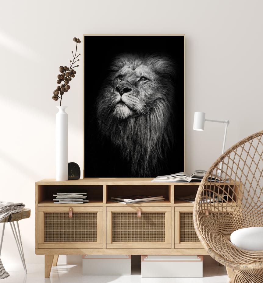 King Of Lions Poster