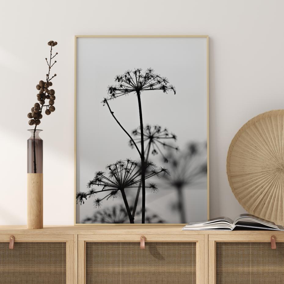 Black And White Flowers Poster