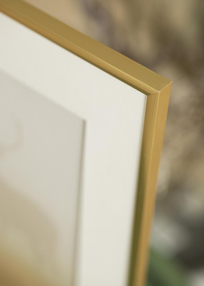Cadre New Lifestyle Verre acrylique Shiny Gold 21x29,7 cm (A4)
