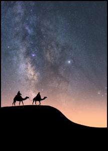 Camels Under The Stars Poster
