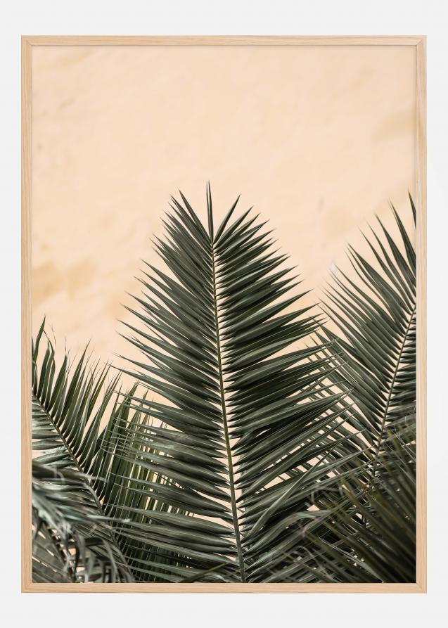 Palm leaves and wall Poster