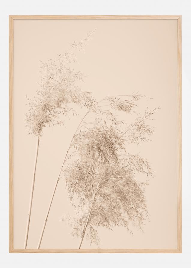 Reed Grass Poster