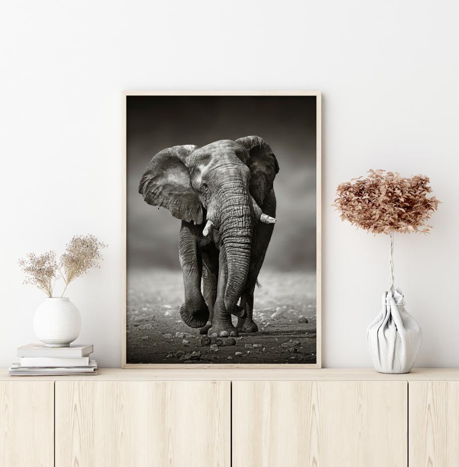 Walking Elephant Poster