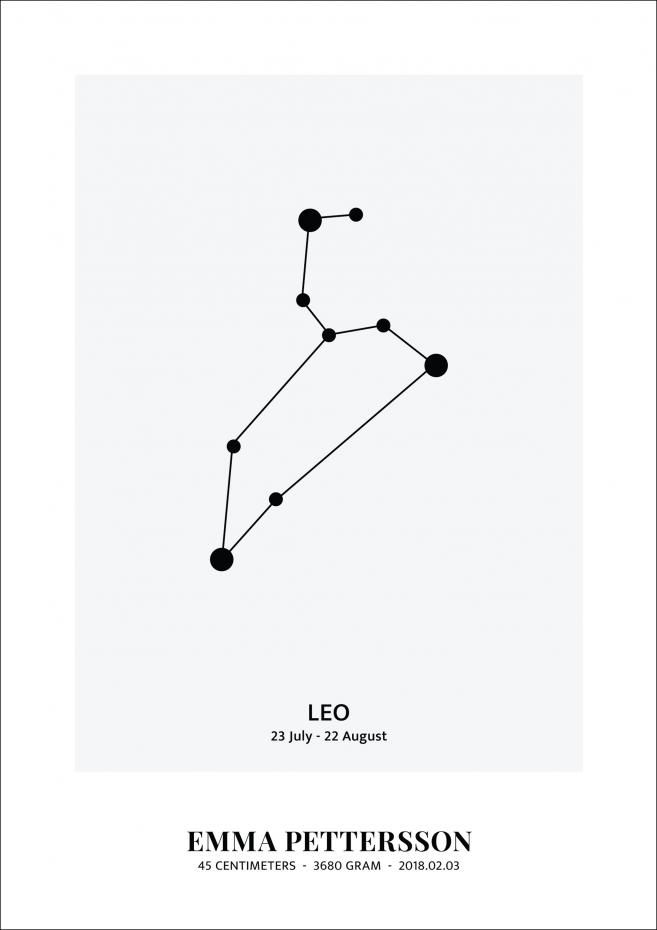 Leo - Star Sign