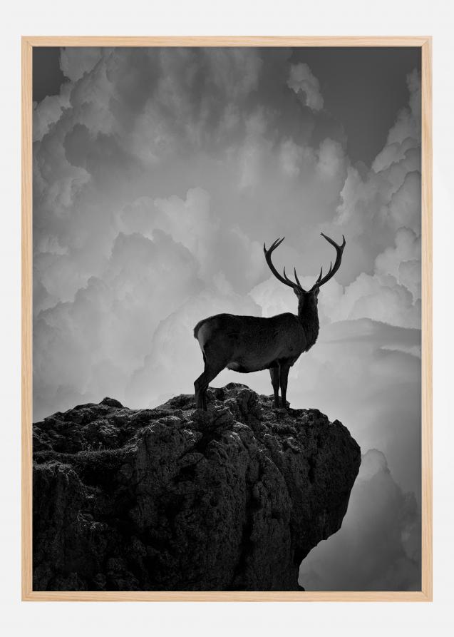 Black and White Deer Poster