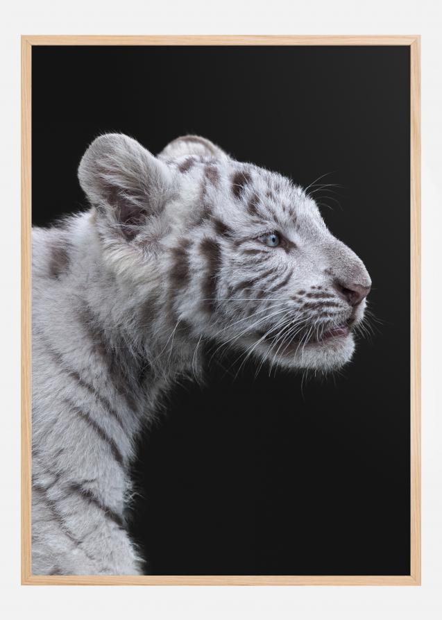 White tiger Poster