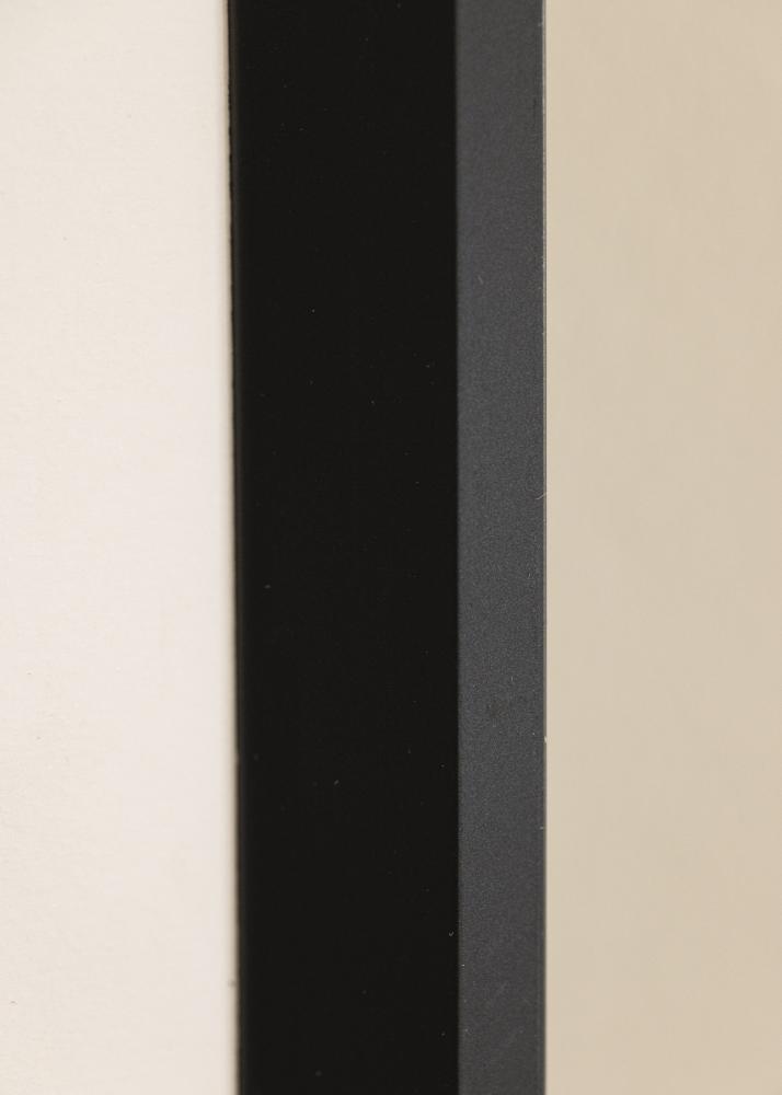 Cadre Globe Verre Acrylique Noir 32,9x48,3 cm (A3+)