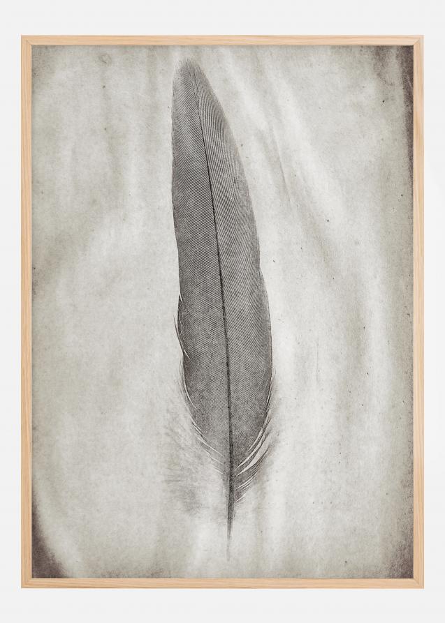 Aquarelle Feather Poster