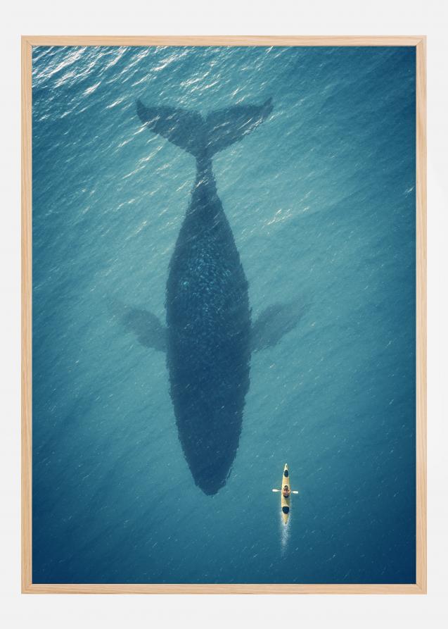 A Big Whale Poster