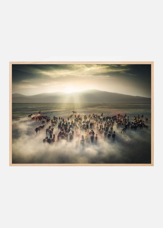 Wild Horses Poster