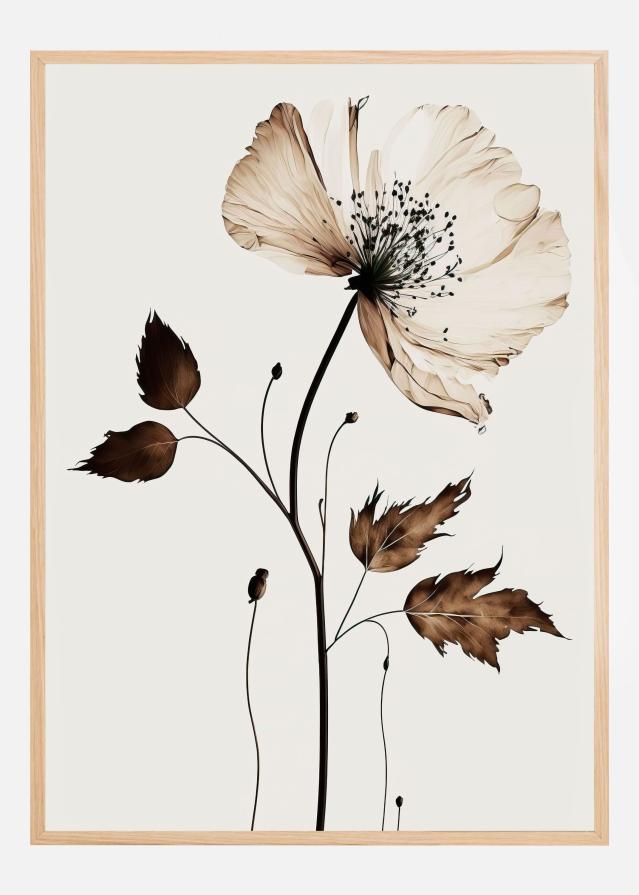 The Coffee Flower Poster