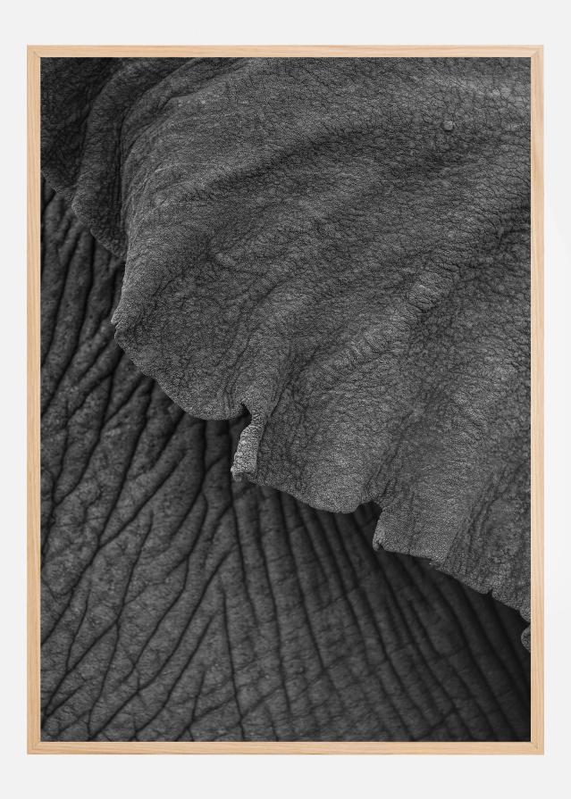 Olifant 02 Poster