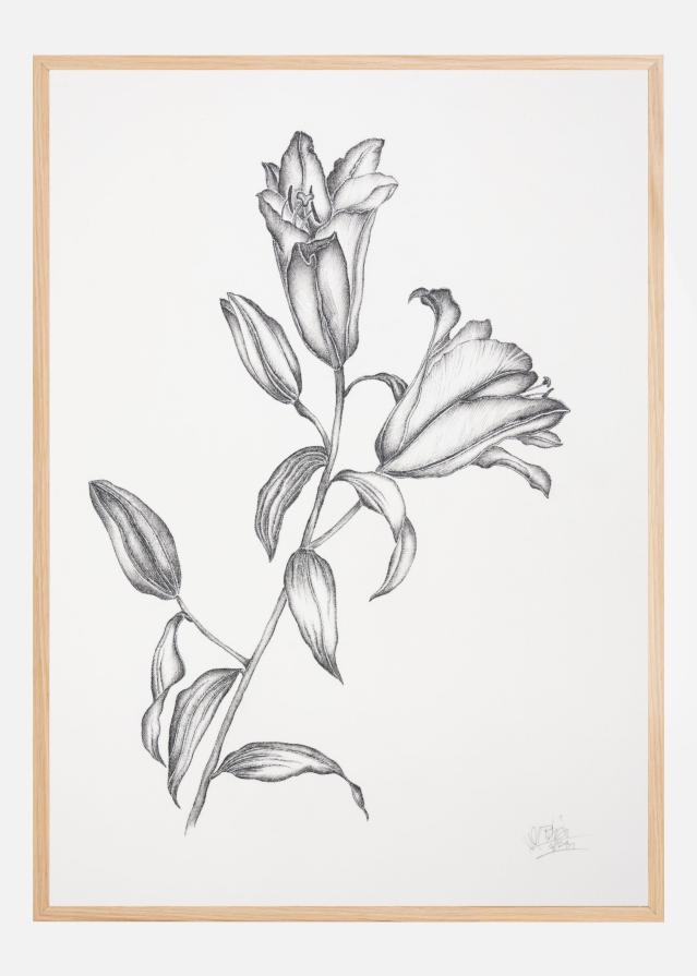 Where Have All the Flowers Gone V Poster