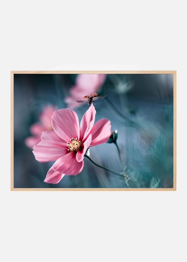 Clair de Terre Poster