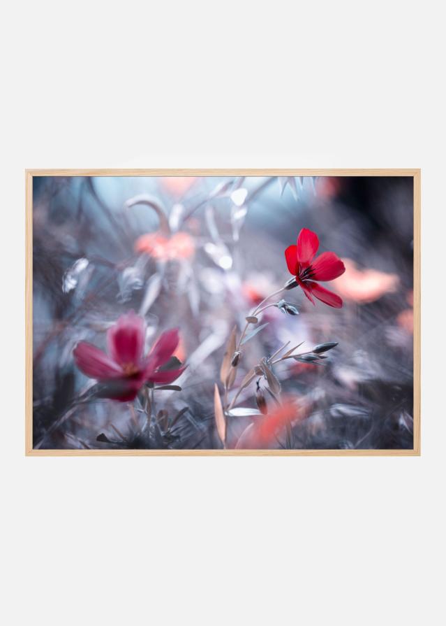 Une Fleur Poster