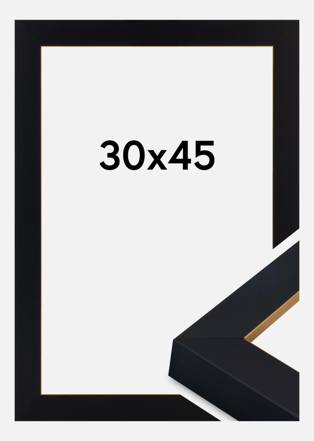 Cadre Sussex Verre Acrylique Noir/Or 30x45 cm