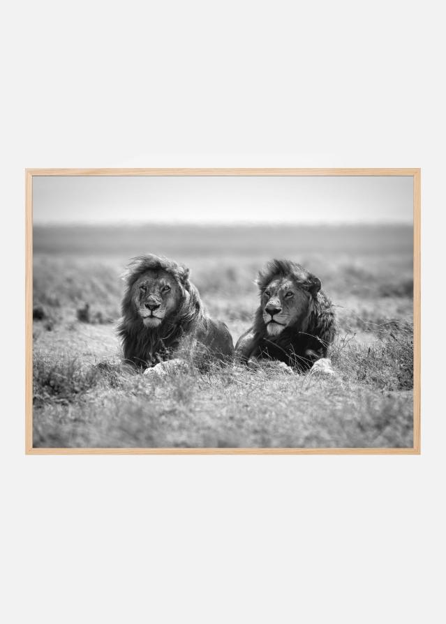 Two kings Poster