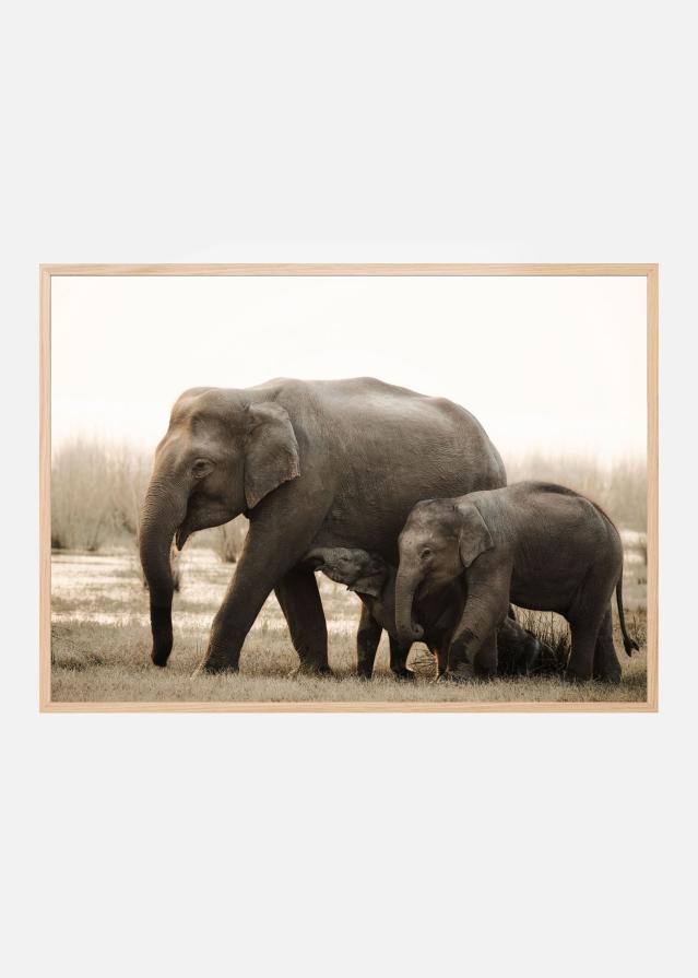 family portrait Poster