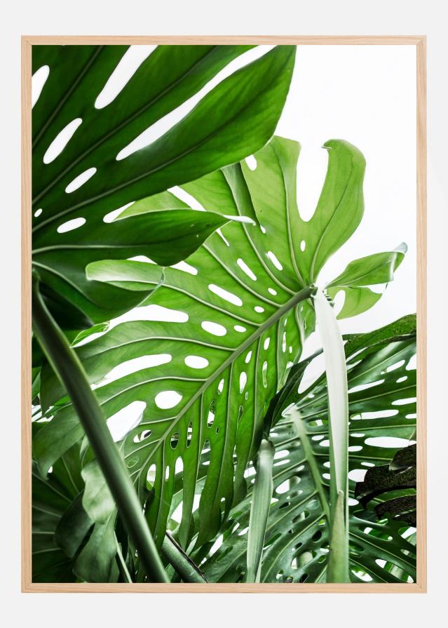 Jungle Poster