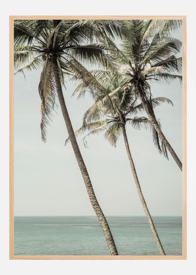Ocean Breeze Palms Poster