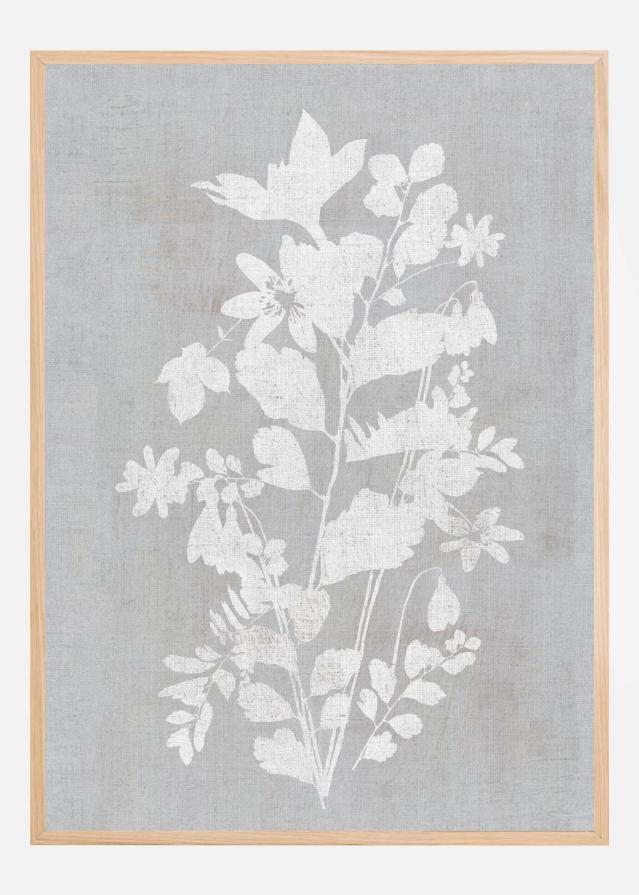 Botanical Illustration 2 Poster