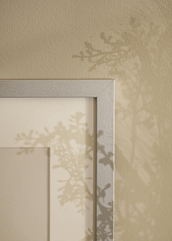 Cadre Selection Verre Acrylique Argent 12x36 inches (30,48x91,44 cm)