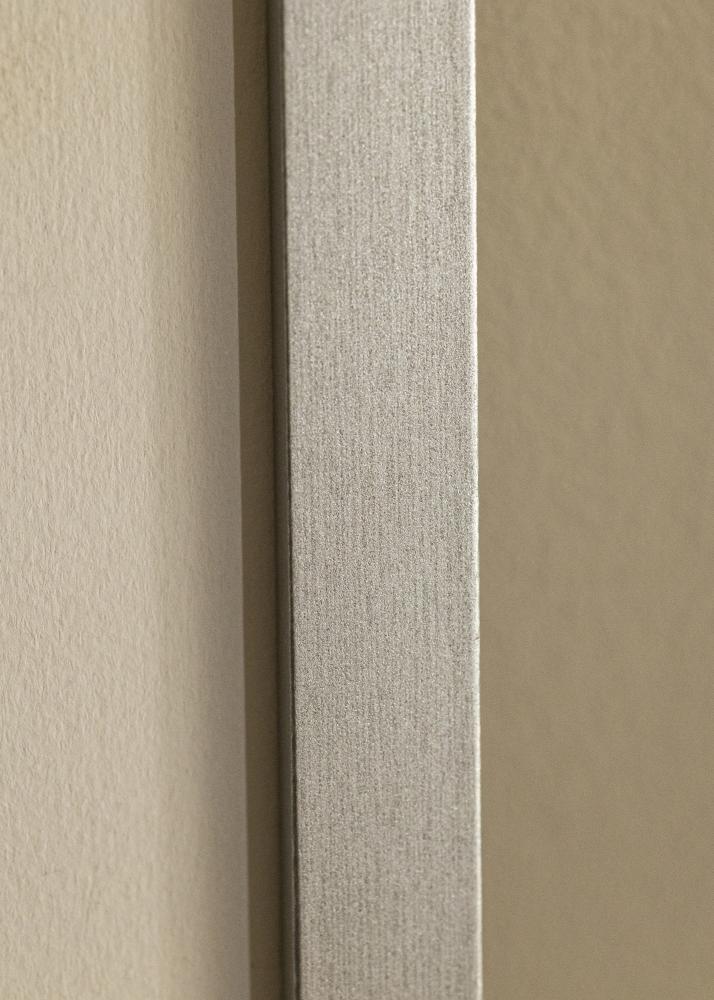 Cadre Selection Verre Acrylique Argent 12x36 inches (30,48x91,44 cm)