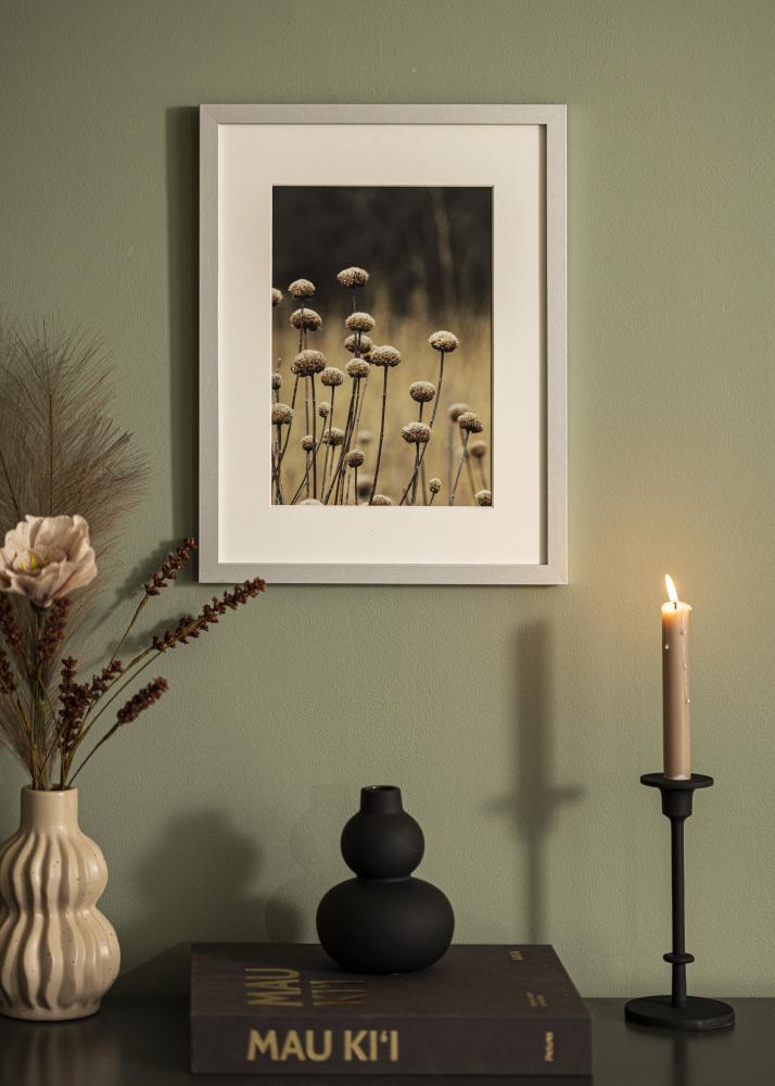 Cadre Selection Verre Acrylique Argent 12x36 inches (30,48x91,44 cm)