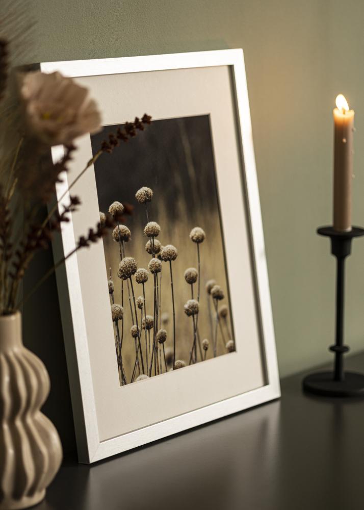 Cadre Selection Verre Acrylique Argent 12x36 inches (30,48x91,44 cm)