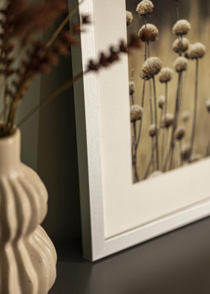 Cadre Selection Verre Acrylique Argent 12x36 inches (30,48x91,44 cm)