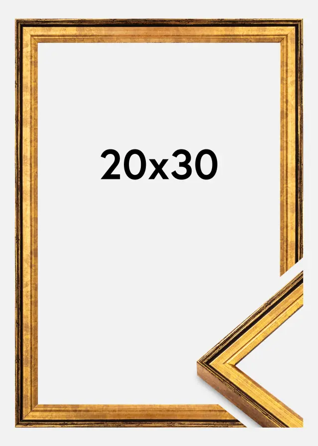 Cadre Ringa Plexiglas Or 20x30 cm