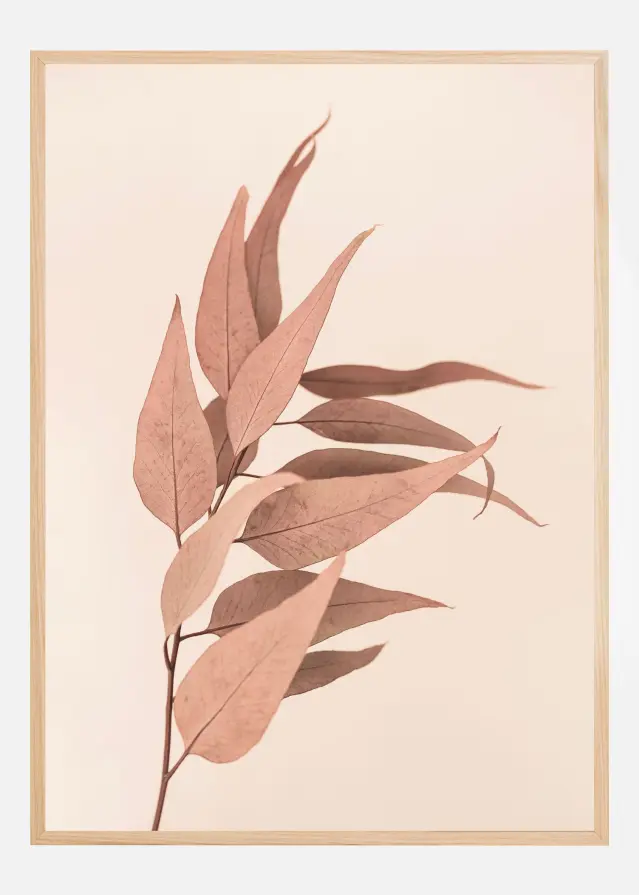 Dried Eucalyptus Poster