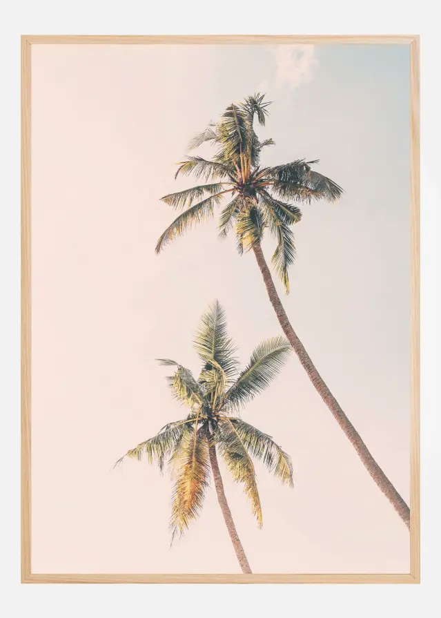 Tropical Palms Poster