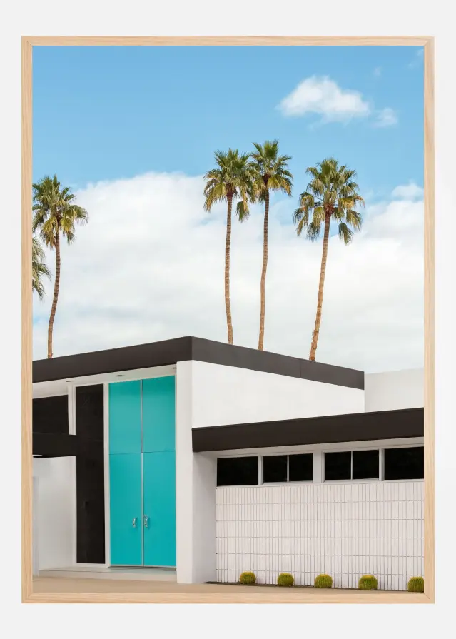 Turquoise Blue Doors on a Modern Home Poster