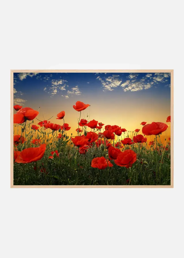 Poppies Poster