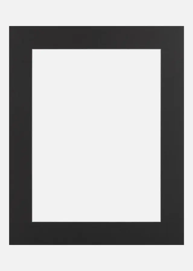 Passe-partout Meteroite (noyau blanc) 40x50 cm (28,7x41 - A3)