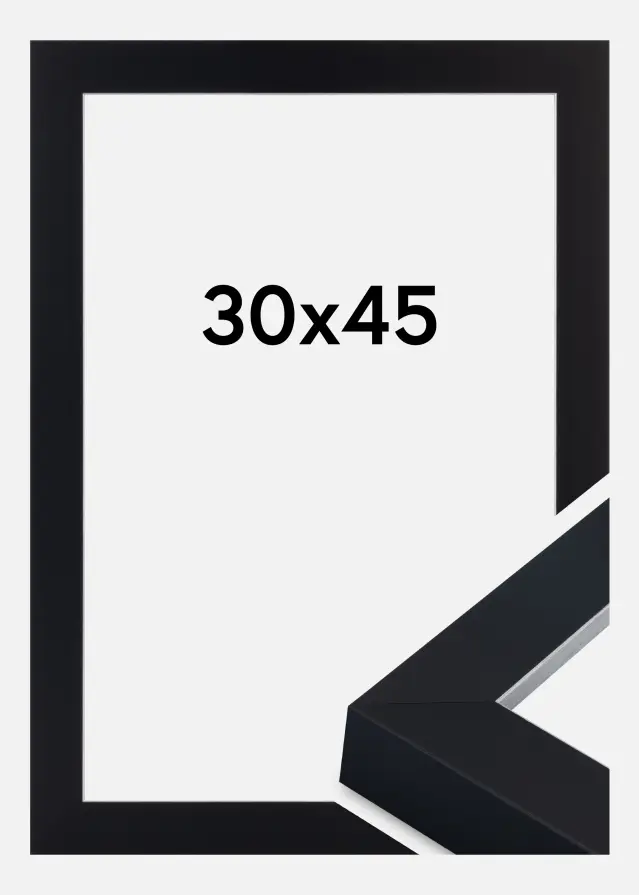 Cadre Sussex Verre Acrylique Noir/Argent 30x45 cm