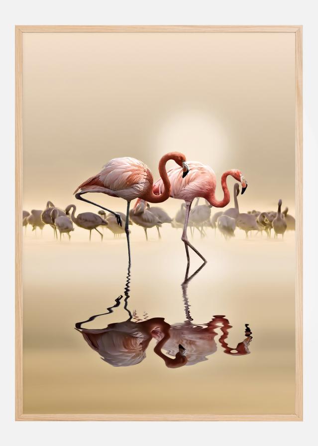 FLAMINGOS Poster