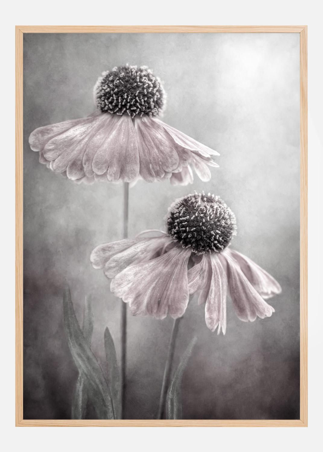 Product Image for Duet Poster (50x70 cm)
