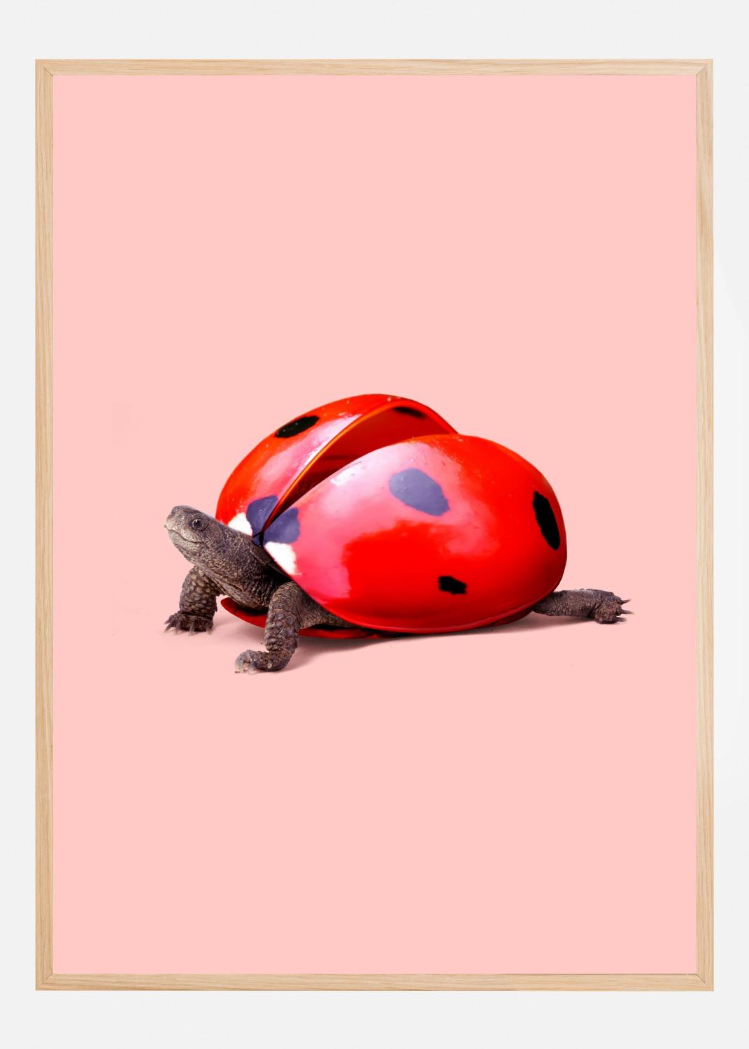 Product Image for Ladybug Turtle Poster (21x29.7 cm (A4))