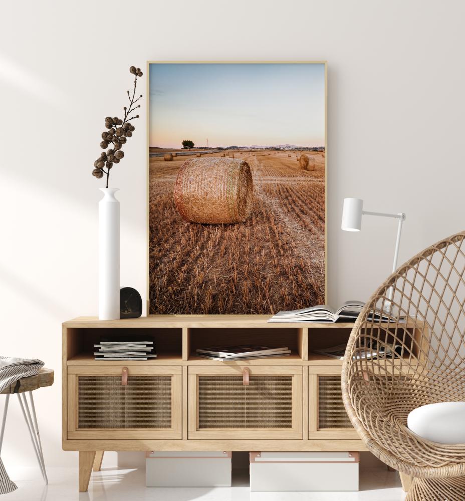 Hay Fields Poster