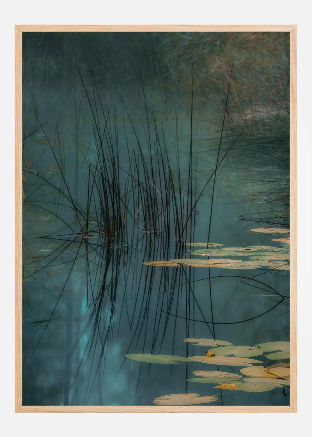 Product Image for Aqua Poster (21x29.7 cm (A4))
